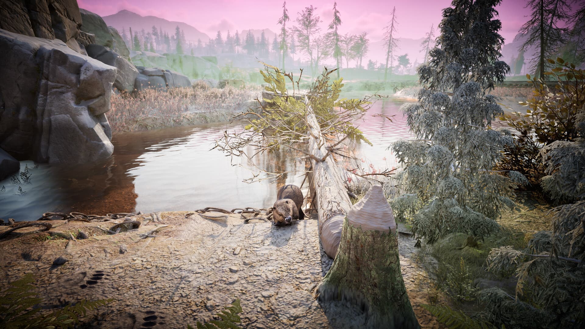 Winter Survival Steam Account - 4