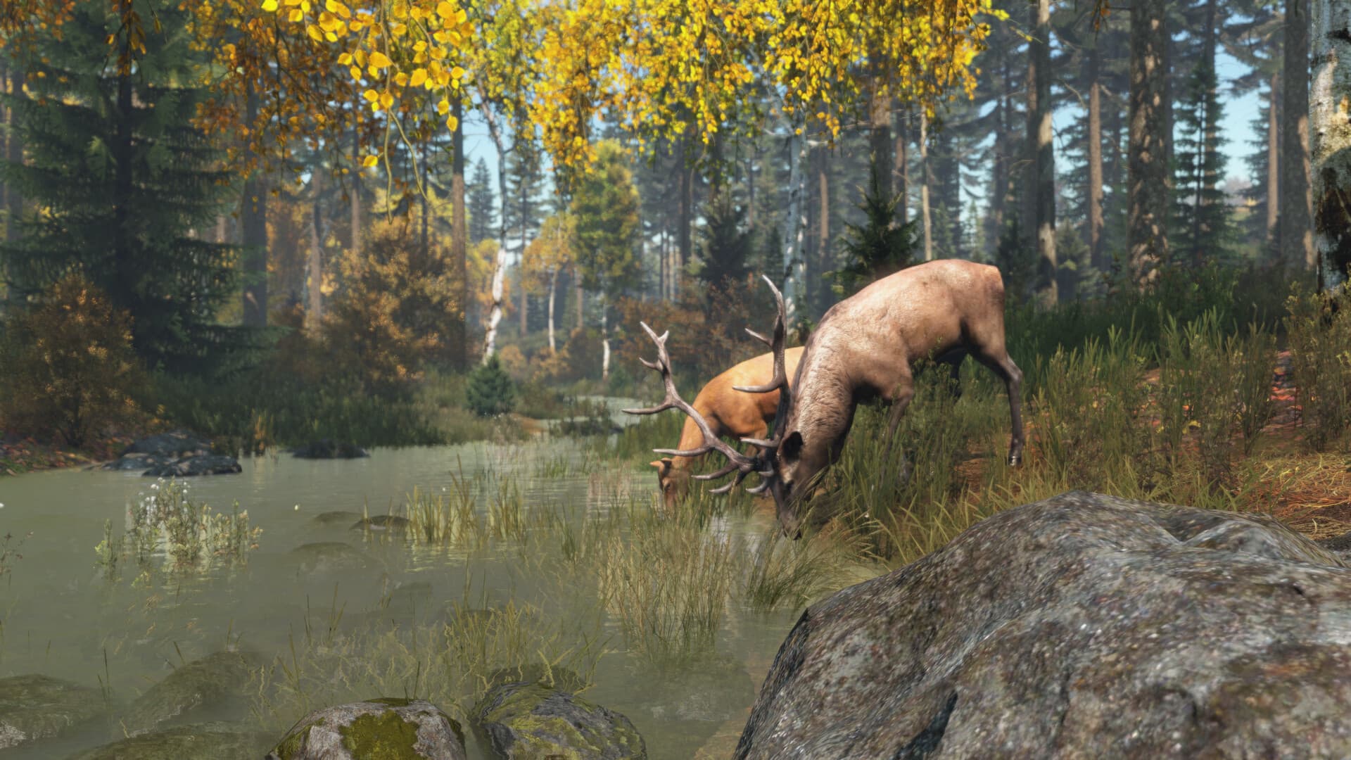 DayZ PC Steam Account - 6