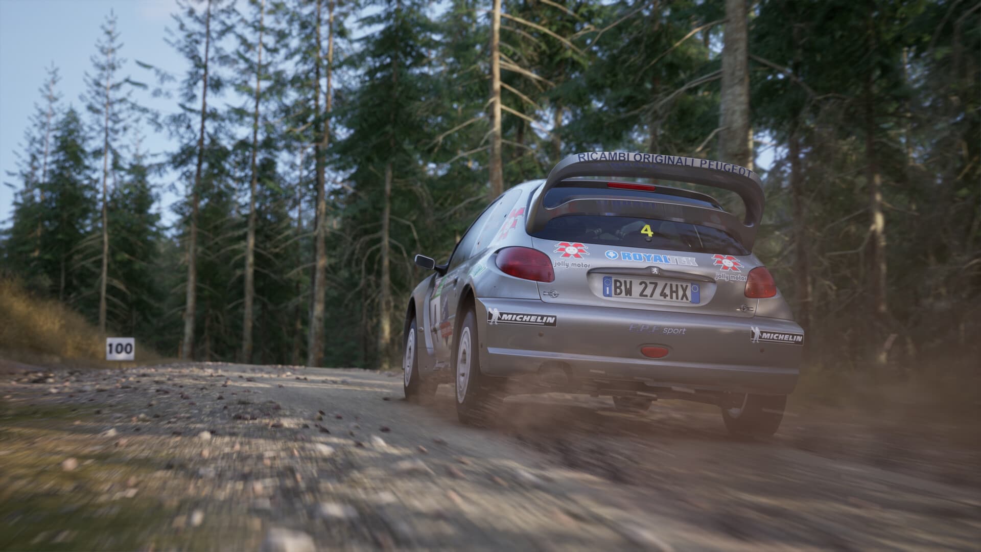Assetto Corsa Rally PC Steam Account - 6
