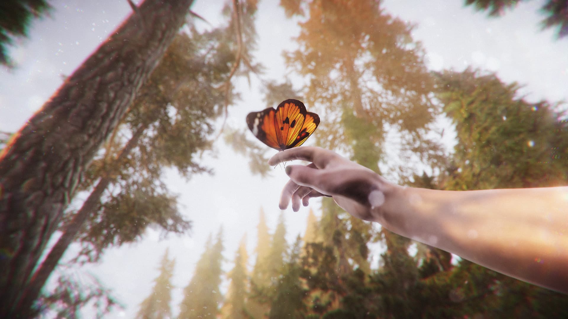 The Forest Cathedral PC Steam Account - 5