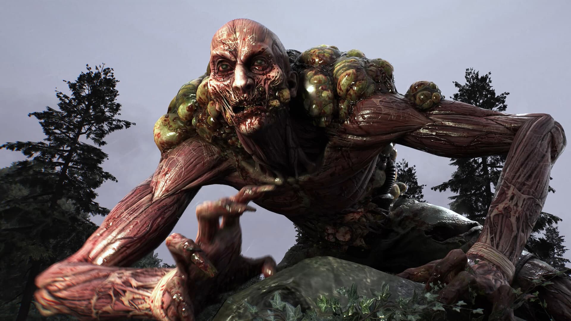 Dying Light: The Beast Deluxe Edition - 4
