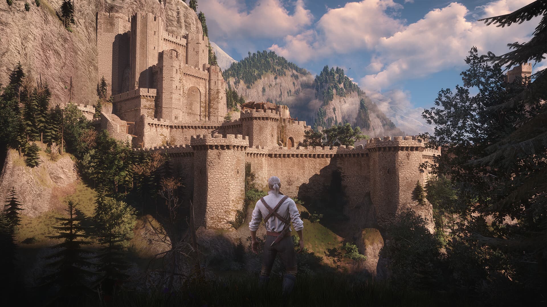 The Witcher 3: Wild Hunt Complete Edition - 8