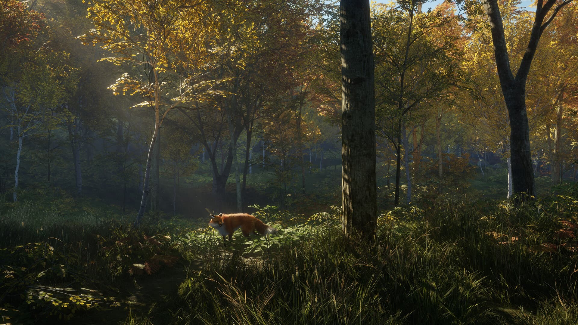 theHunter: Call of the Wild Steam Account - 3