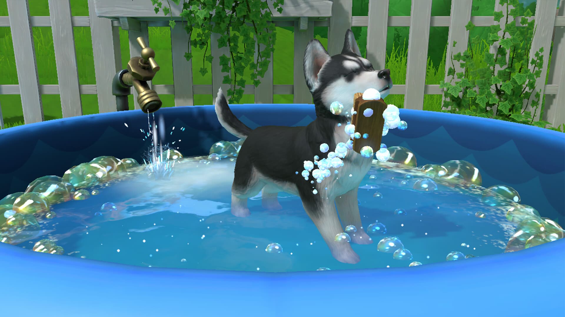 Little Friends: Puppy Island PC Steam Account - 6
