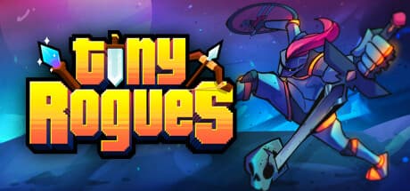 Tiny Rogues PC Steam Account