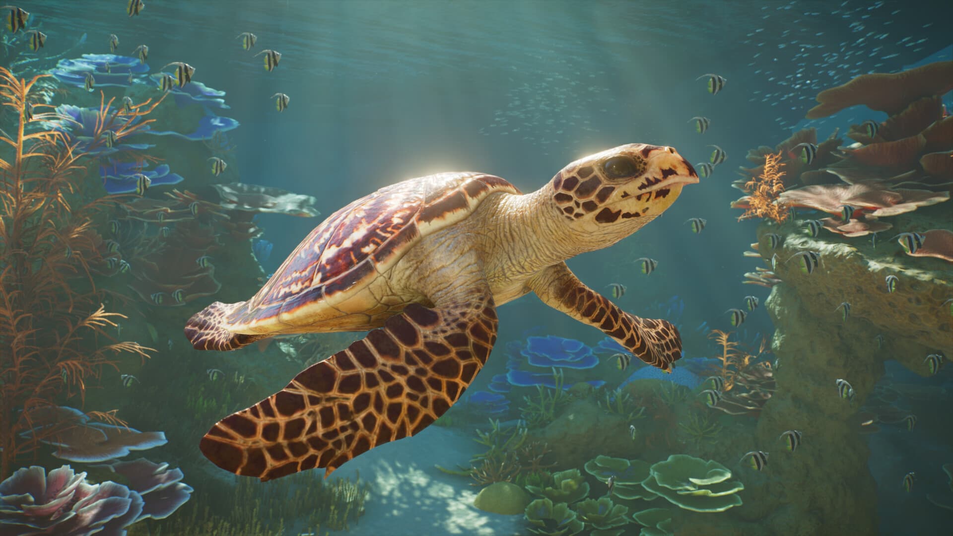 Planet Zoo 2: Deluxe Edition คิวเยอะ อ่านก่อนซื้อ - 2