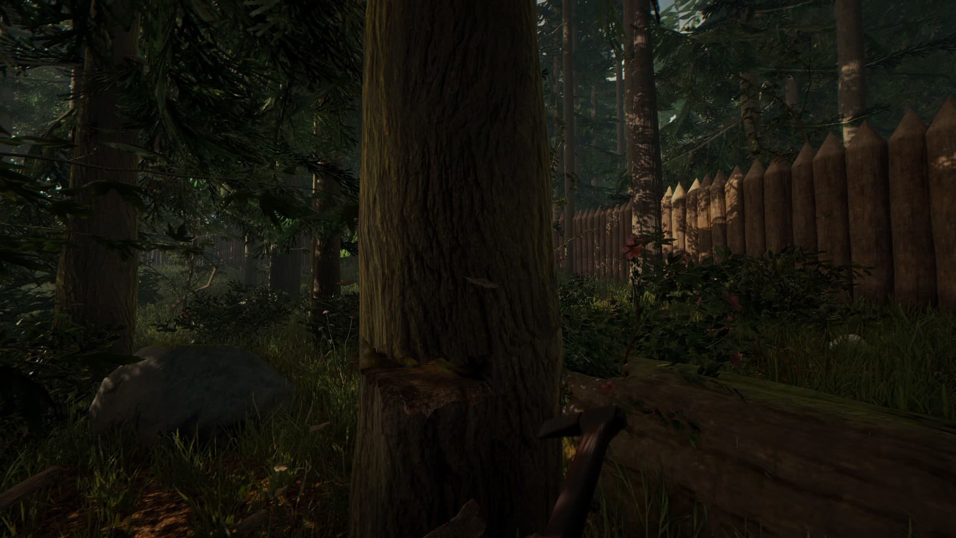 The Forest - 7