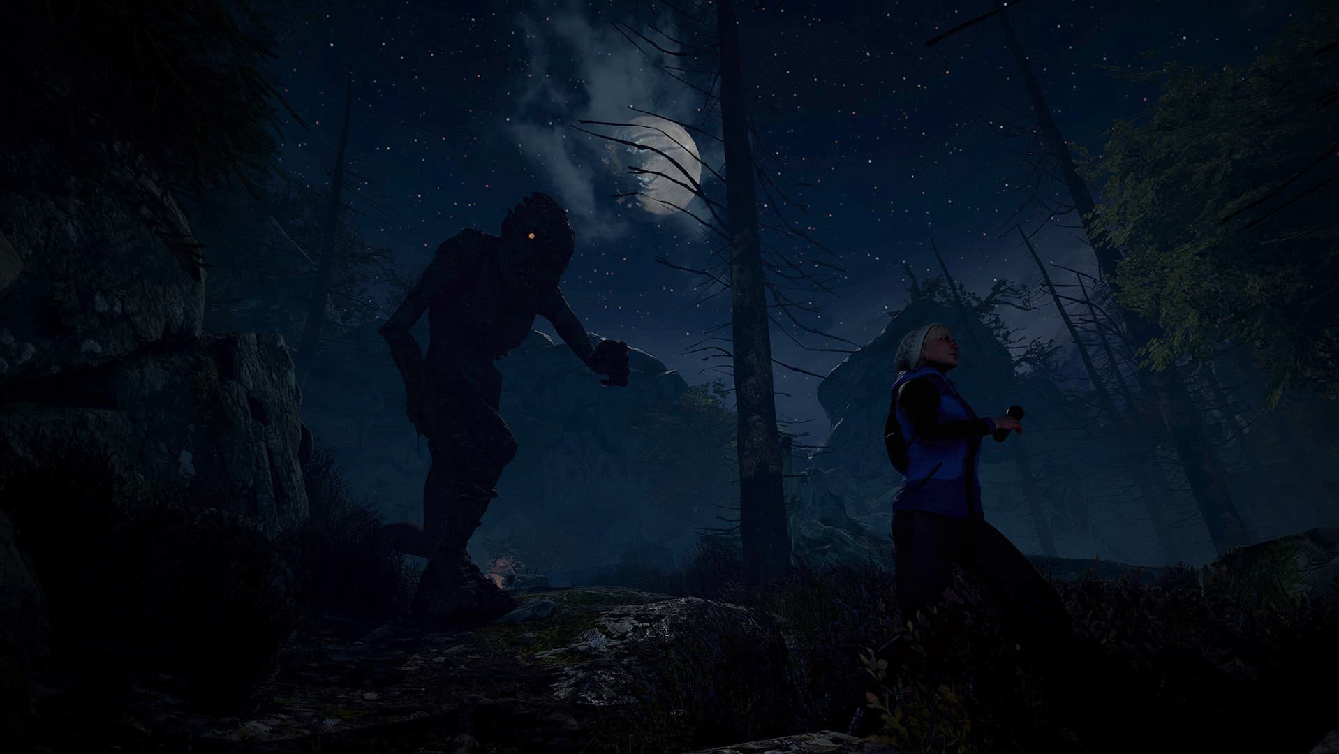 Through the Woods PC Steam Account - 6