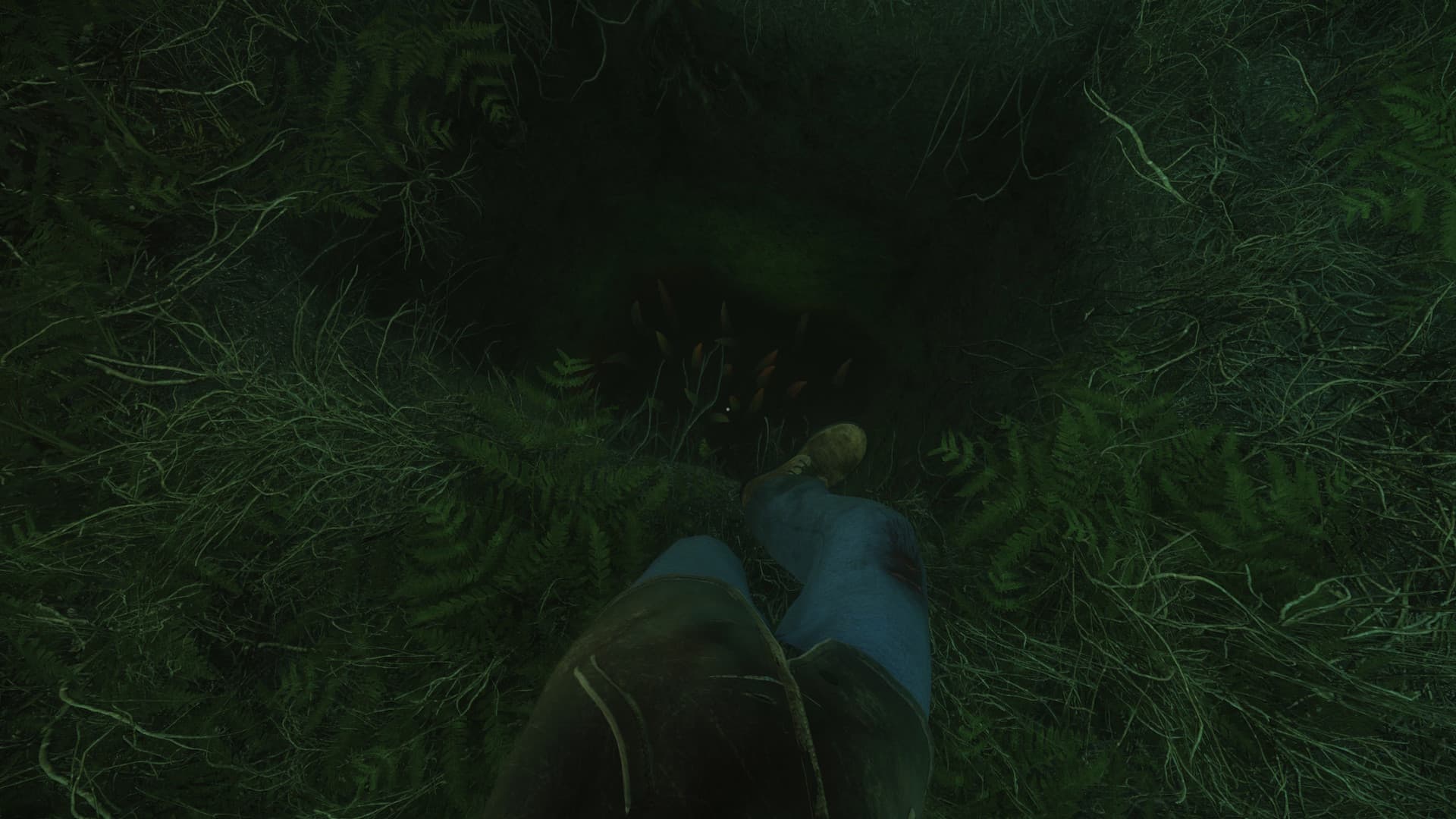 The Cursed Forest PC Steam CD Key - 6
