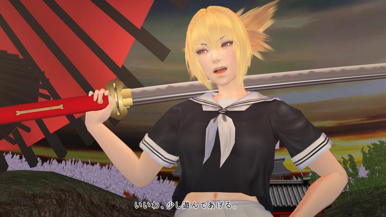 Mitsurugi Kamui Hikae Steam CD Key - 2