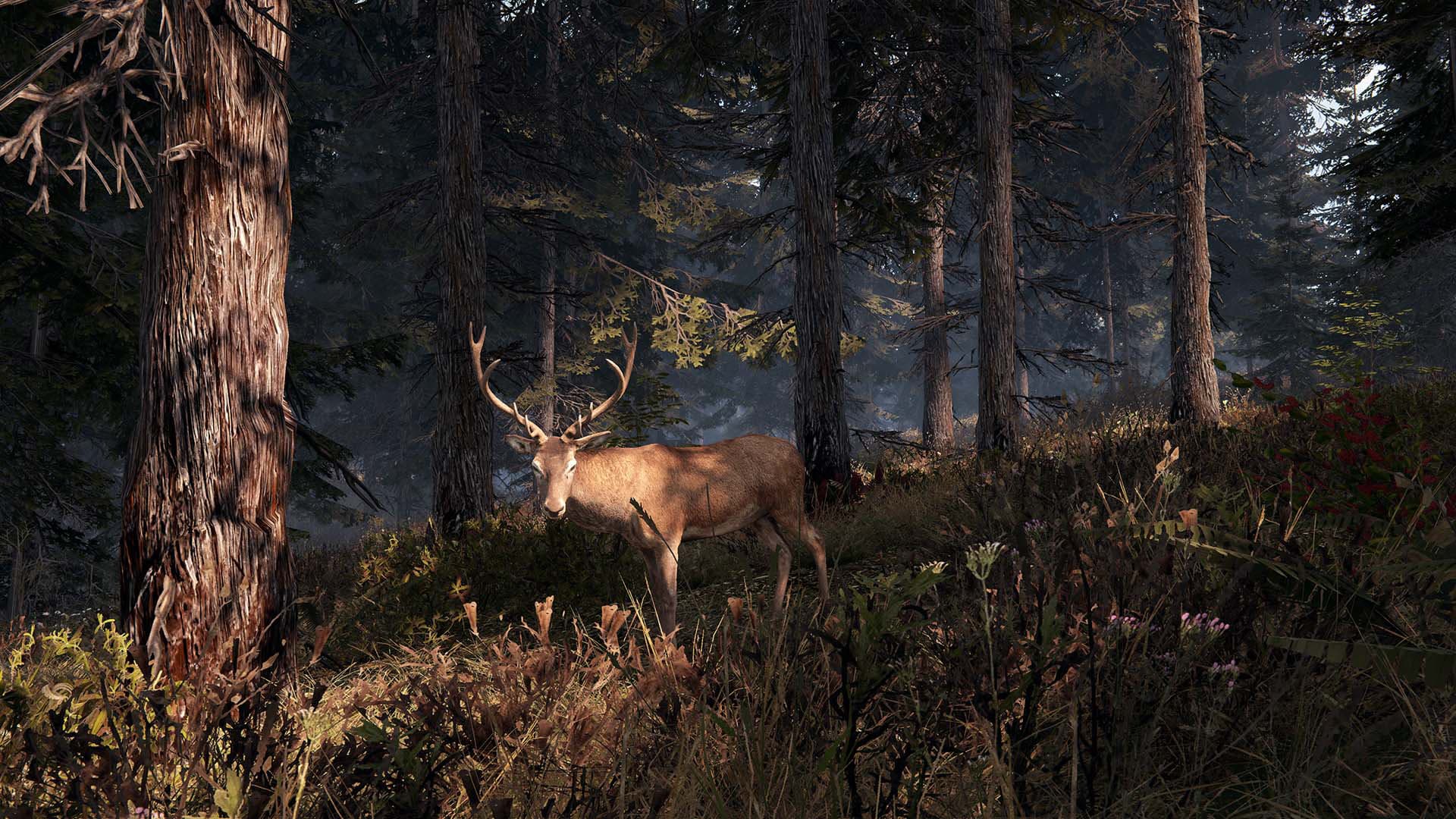 This Land Is My Land Steam Account - 8