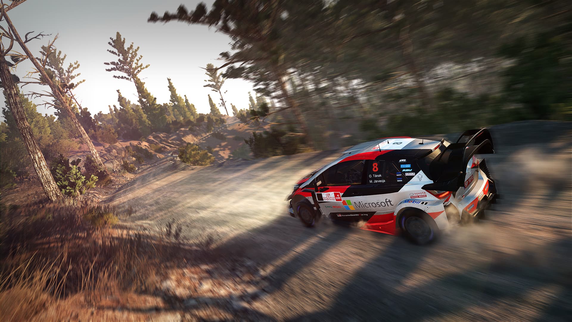 WRC 8 FIA World Rally Championship PC Steam Account - 3