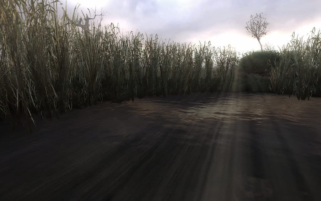 S.T.A.L.K.E.R: Clear Sky Steam Account - 7