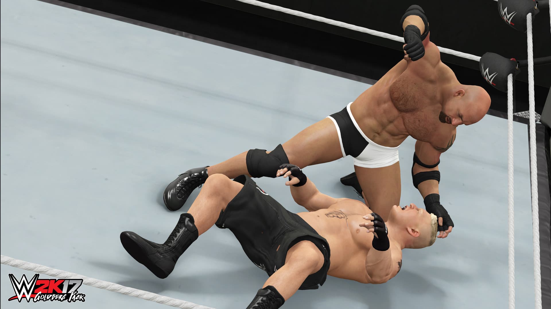 WWE 2K17 PC Steam CD Key - 2
