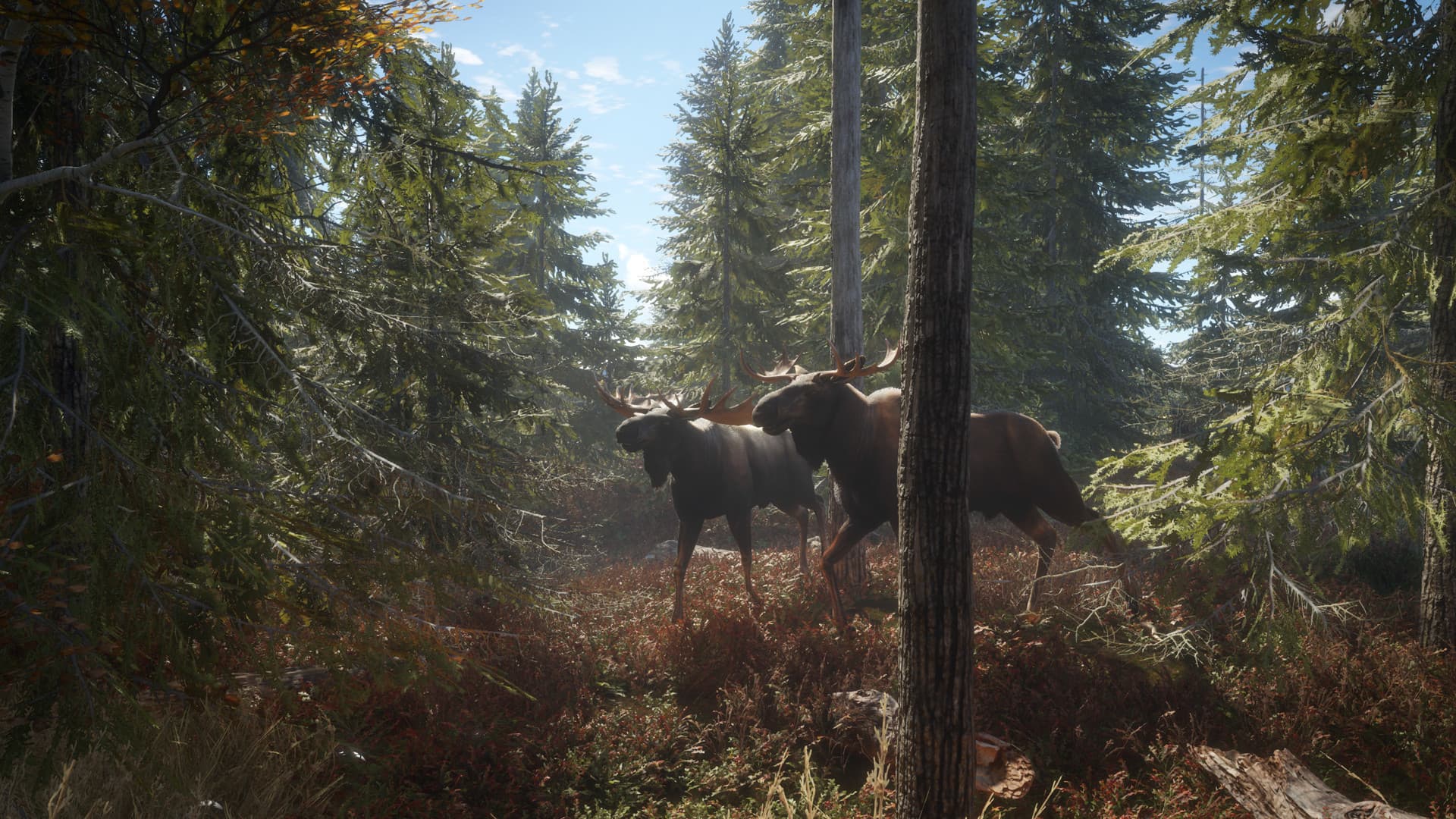 theHunter: Call of the Wild Steam Account - 2