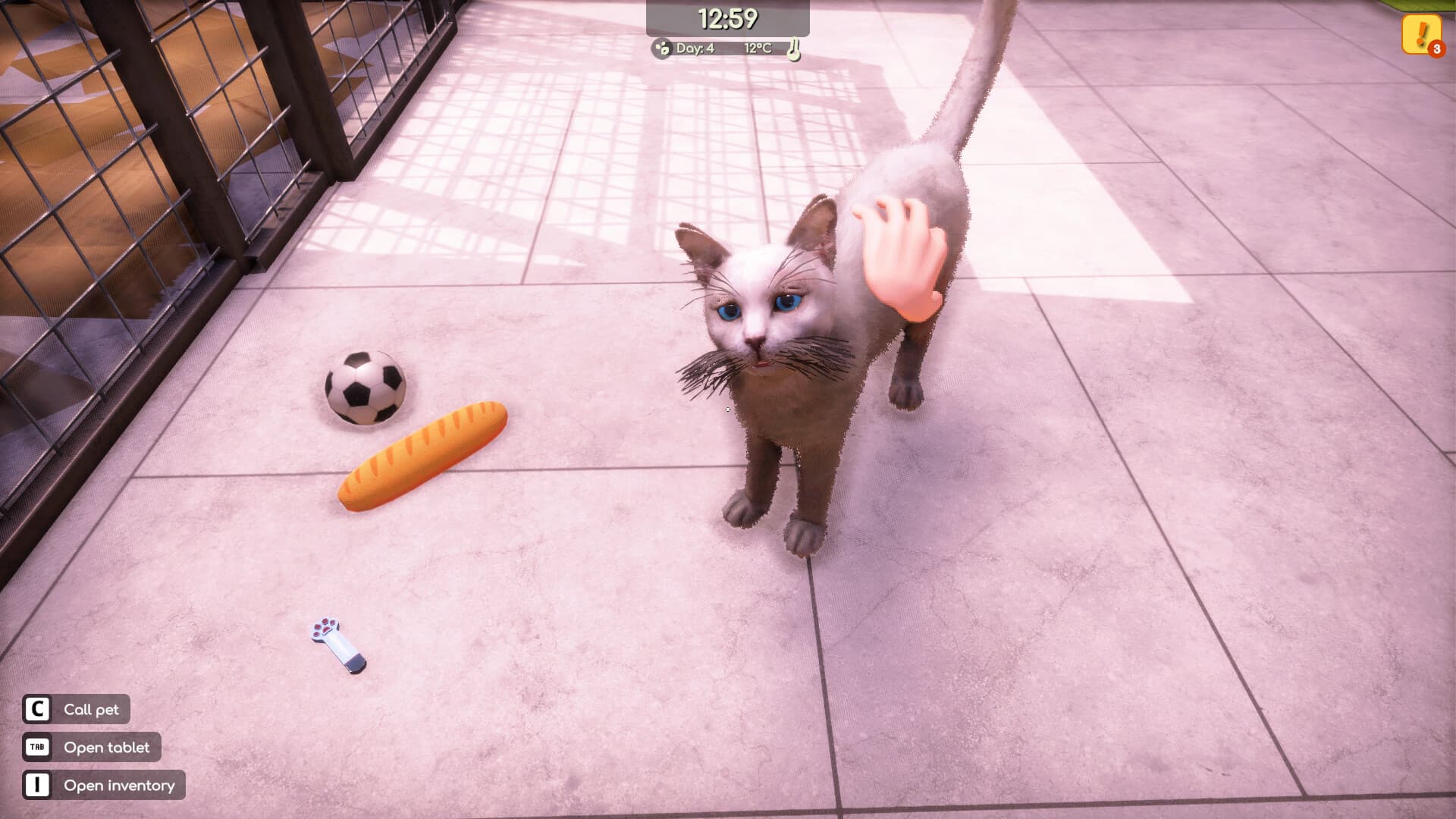 Animal Shelter 2 PC Steam Account - 2