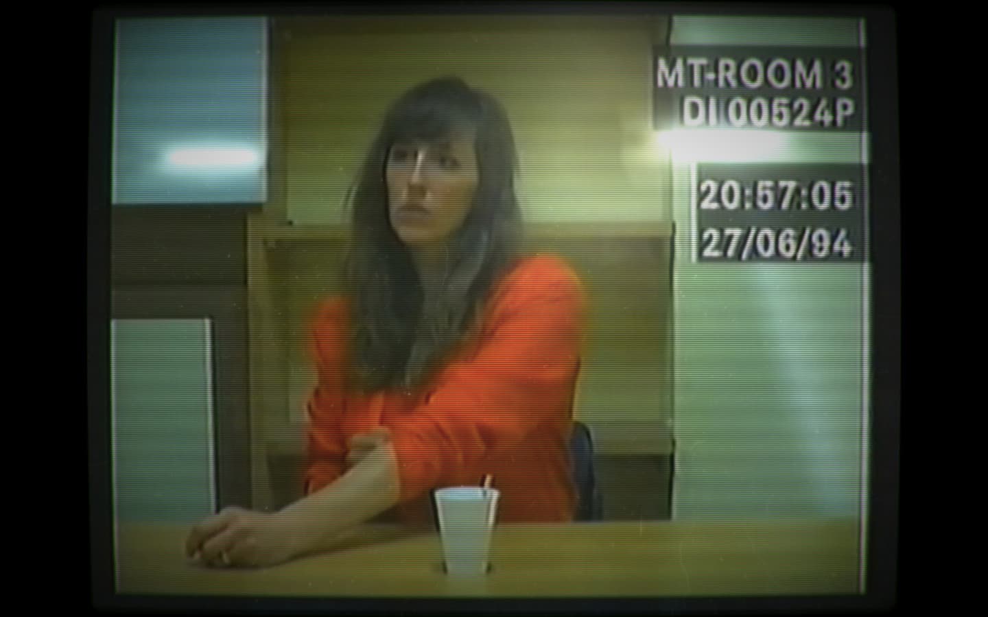Her Story Steam CD Key - 2