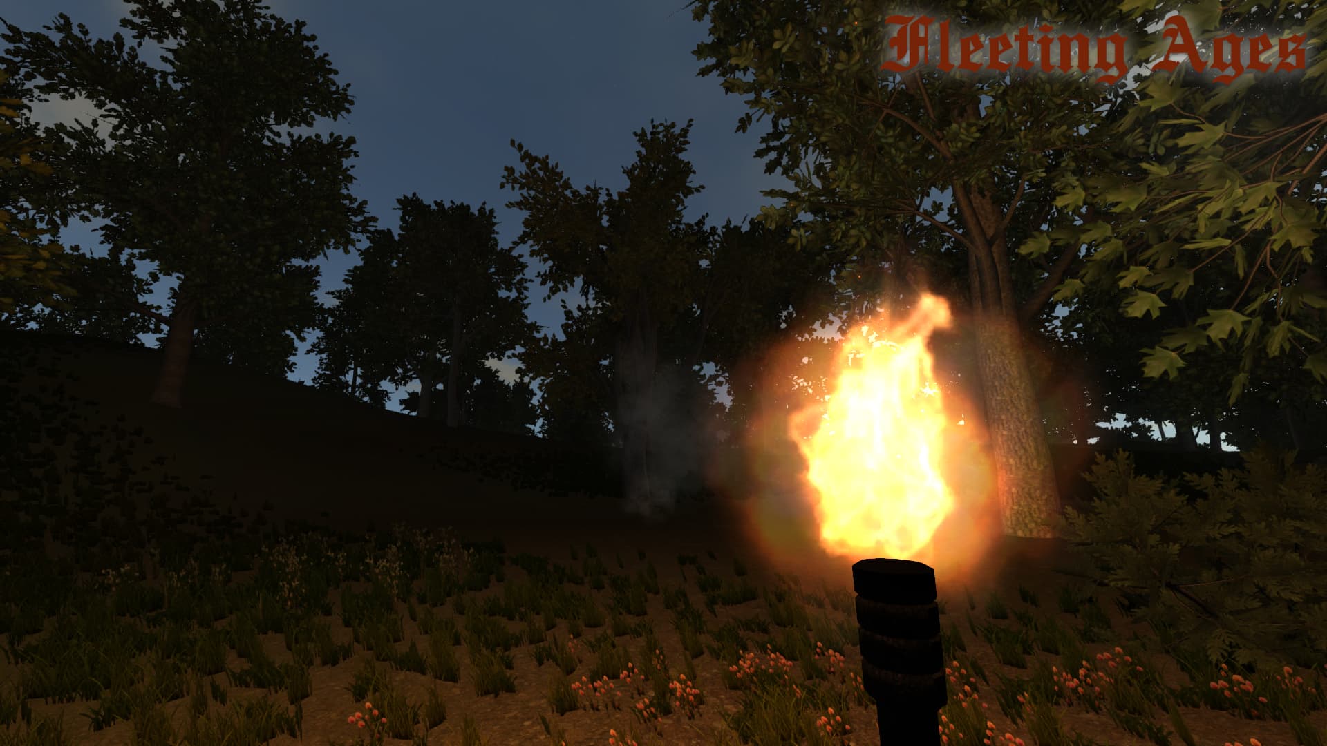 Fleeting Ages Steam CD Key - 5