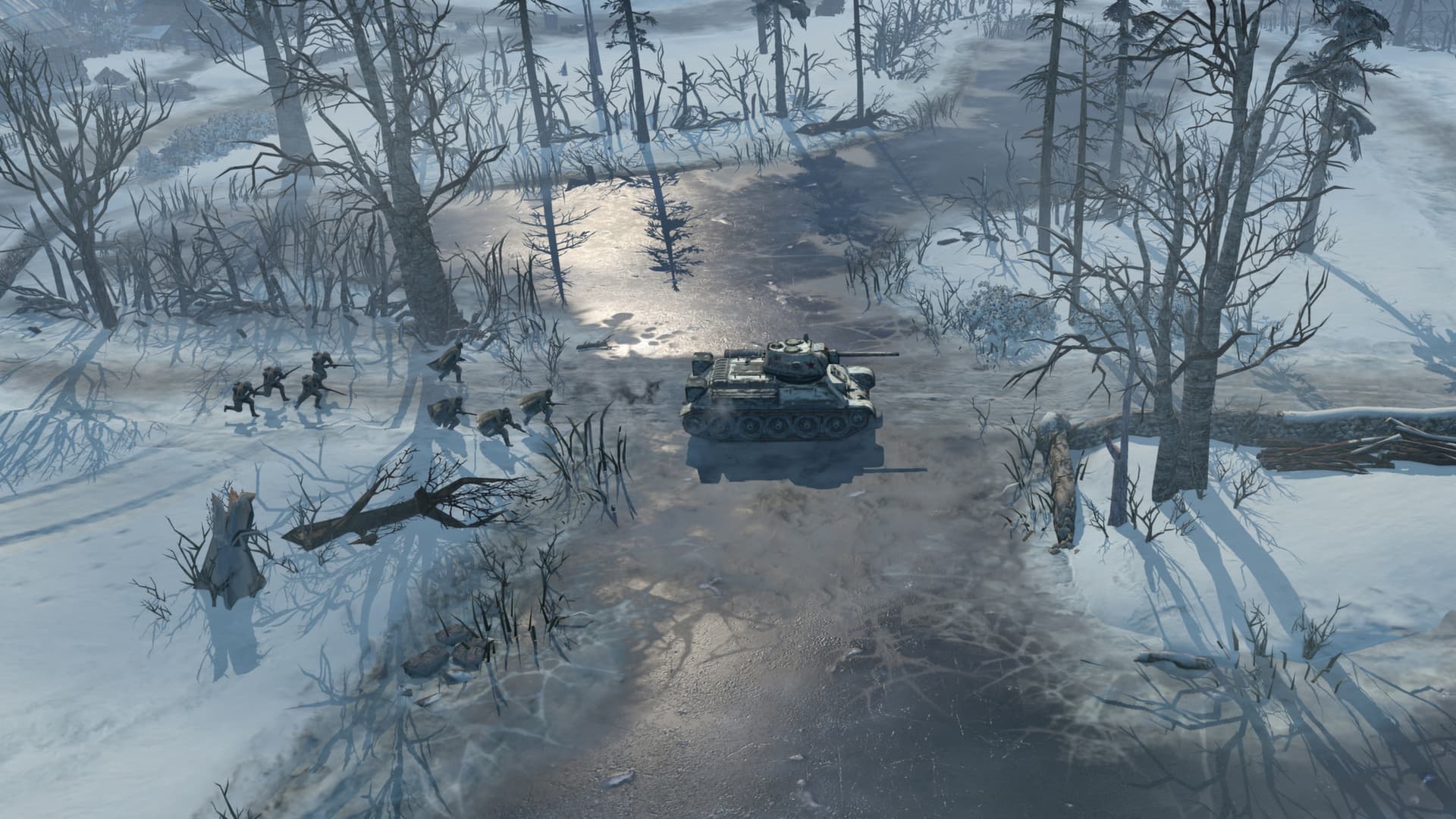 Company of Heroes 2 PC Steam Account - 7
