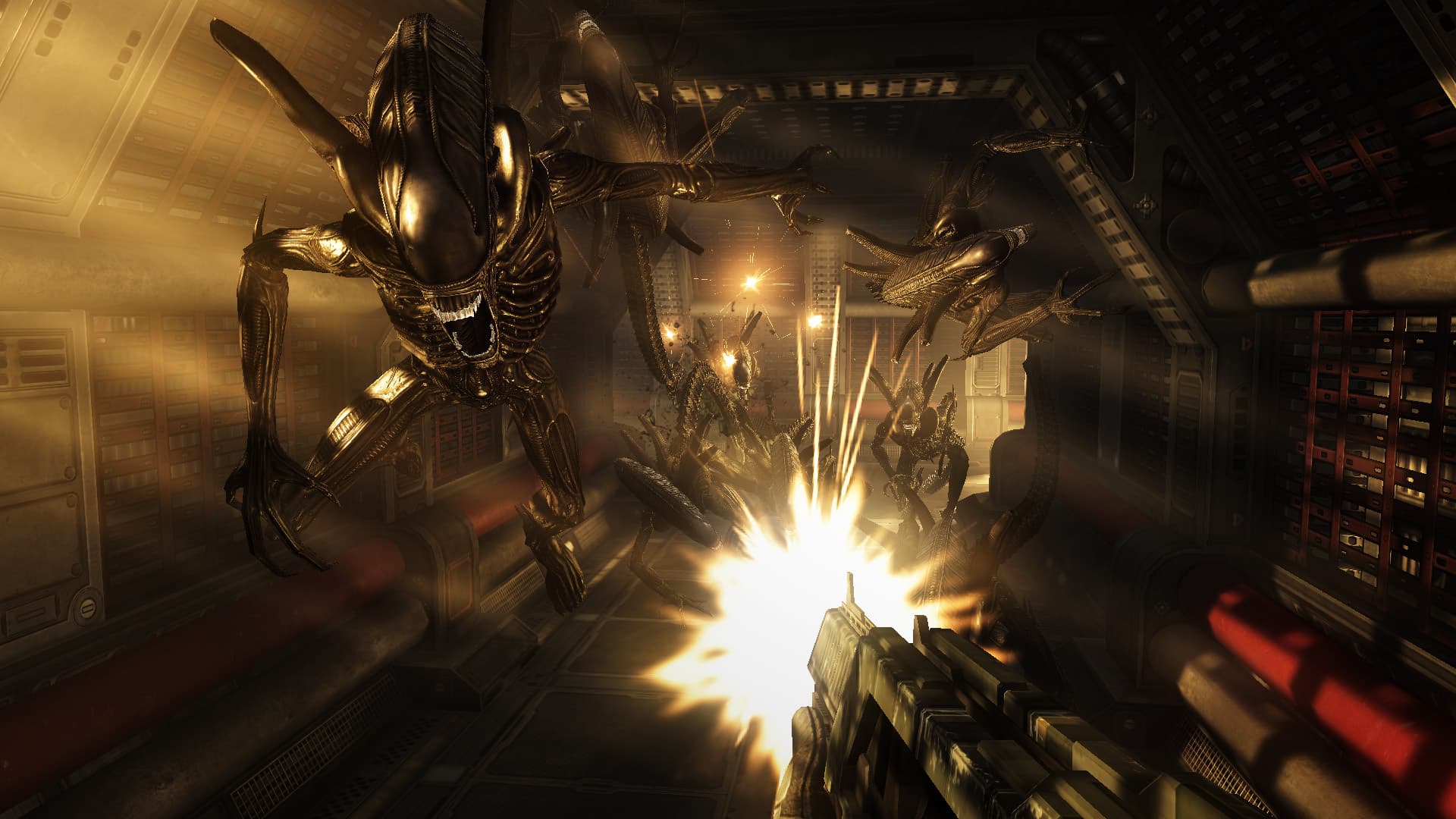 Aliens Vs. Predator Steam CD Key - 3
