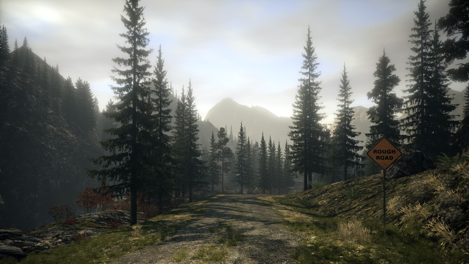 Alan Wake Franchise PC Steam CD Key - 6