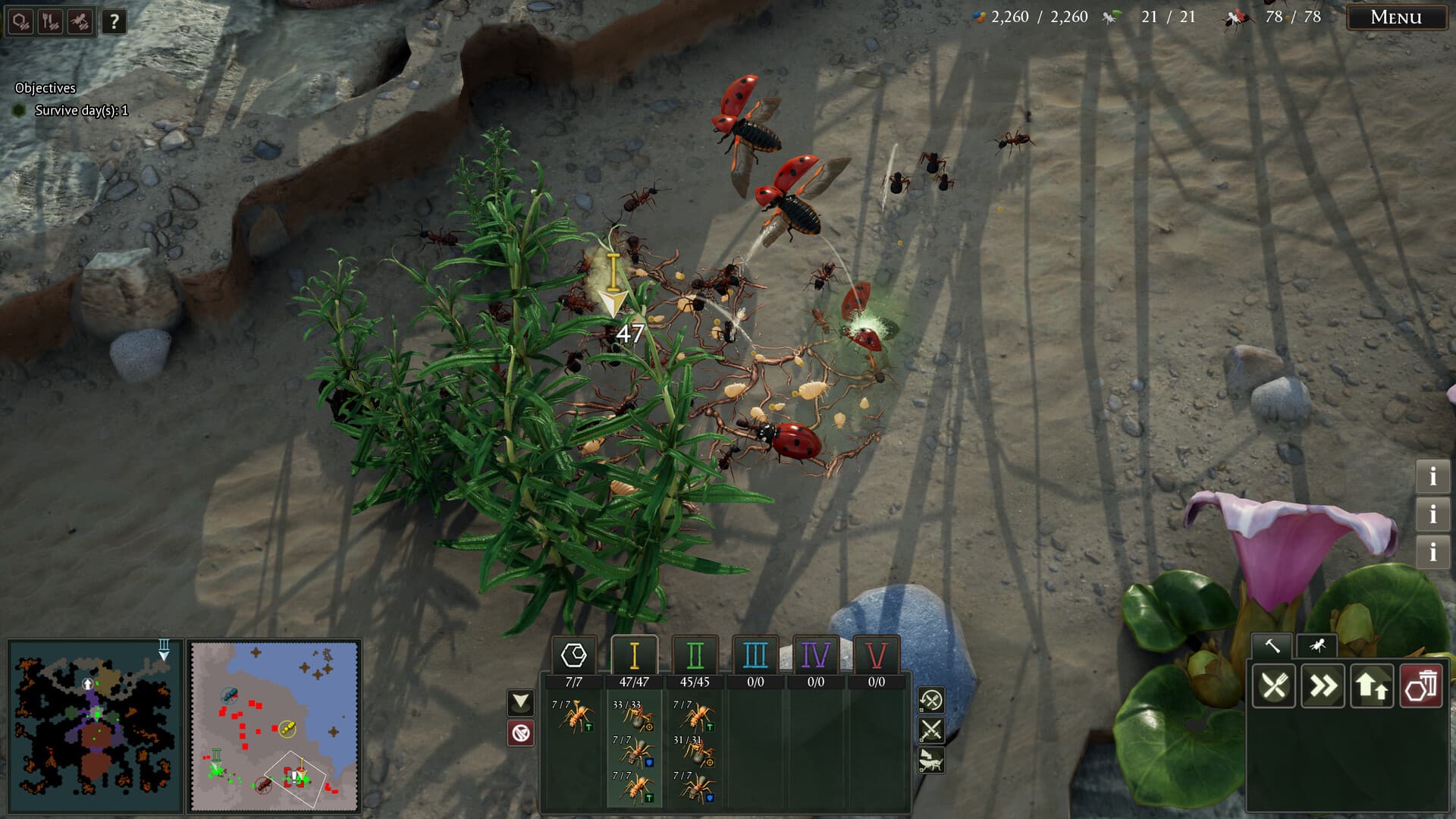 Empires of the Undergrowth: Complete - 5