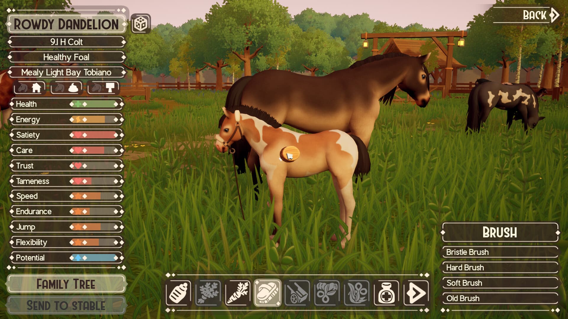 The Ranch of Rivershine PC Steam Account - 8