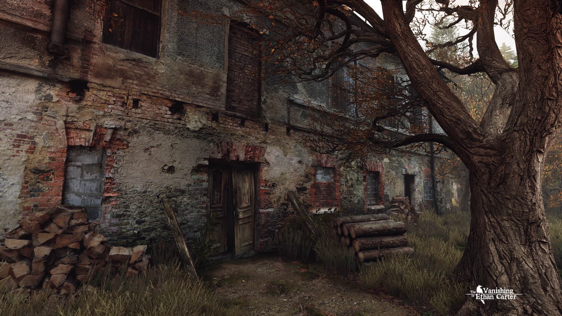 The Vanishing of Ethan Carter PC Steam CD Key - 2