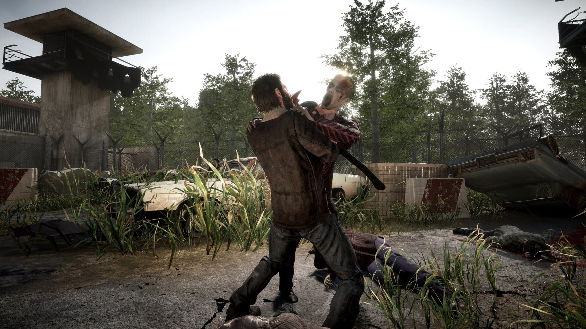The Walking Dead: Destinies PC Steam Account - 8