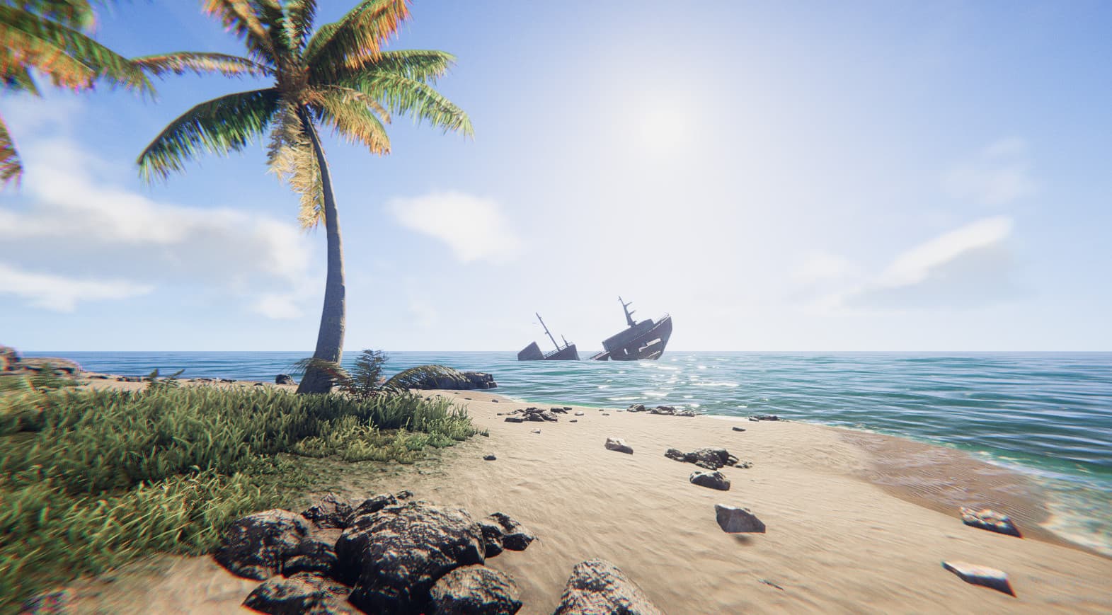Project Castaway PC Steam Account - 4