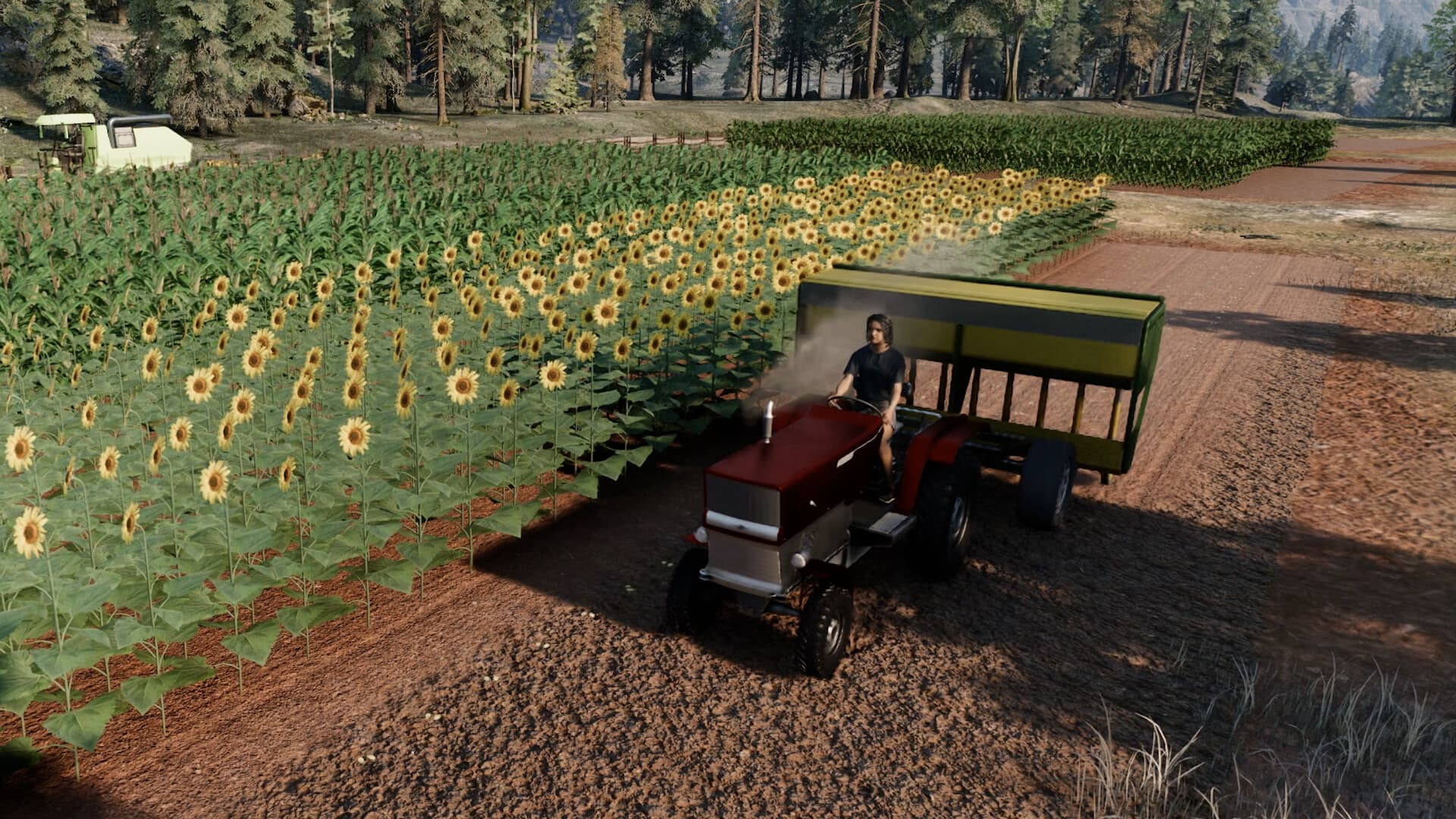 Ranch Simulator PC Steam Account - 3