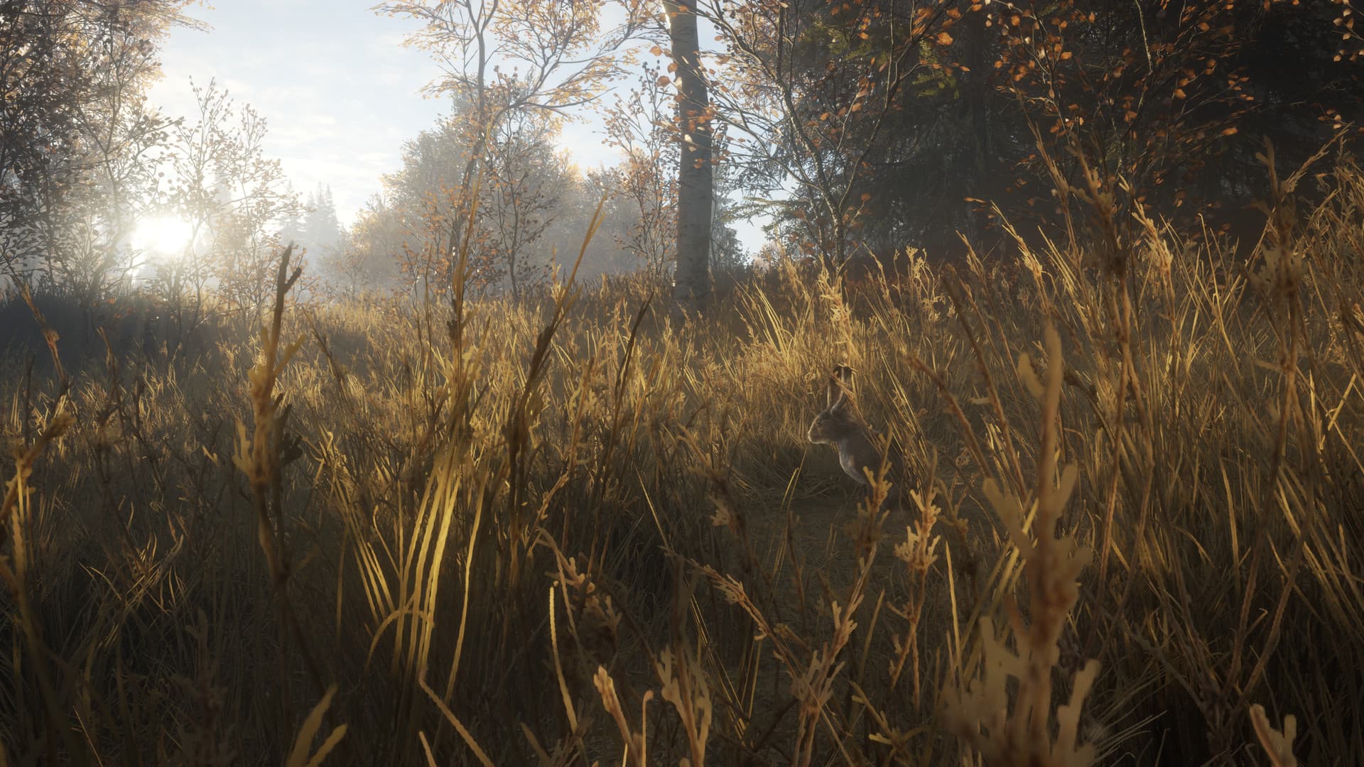 theHunter: Call of the Wild Steam Account - 8