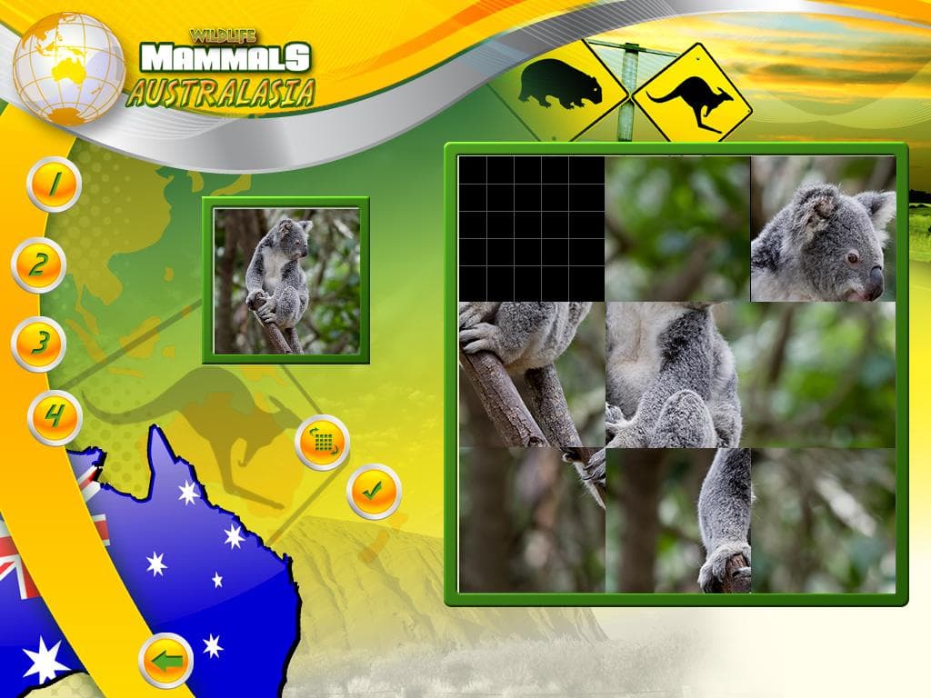 Wildlife Creative Studio PC Steam CD Key - 6