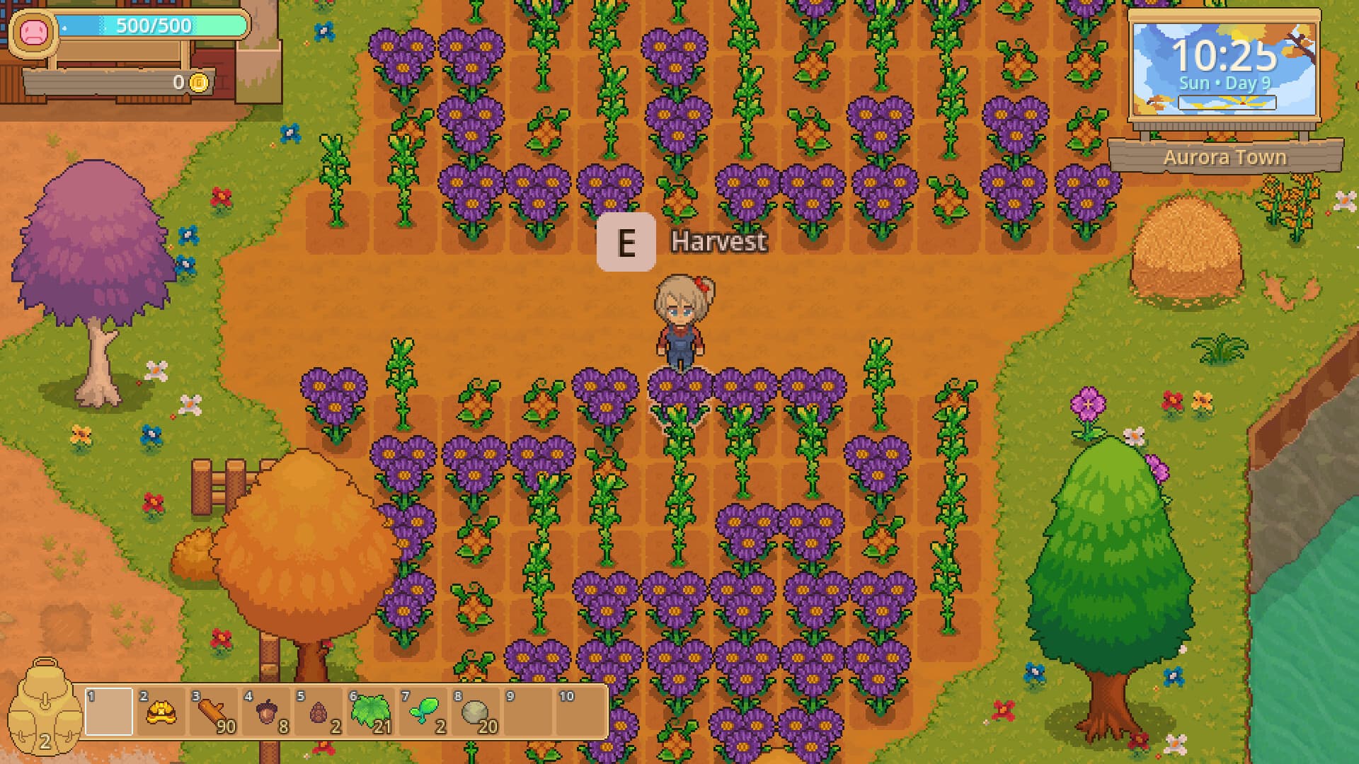 Peaceful Days PC Steam Account - 2