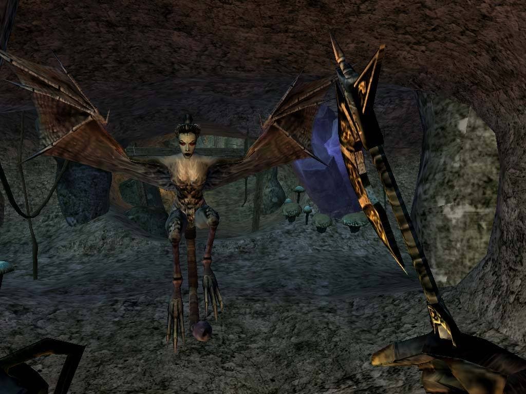 The Elder Scrolls III Morrowind GOTY Steam CD Key - 6