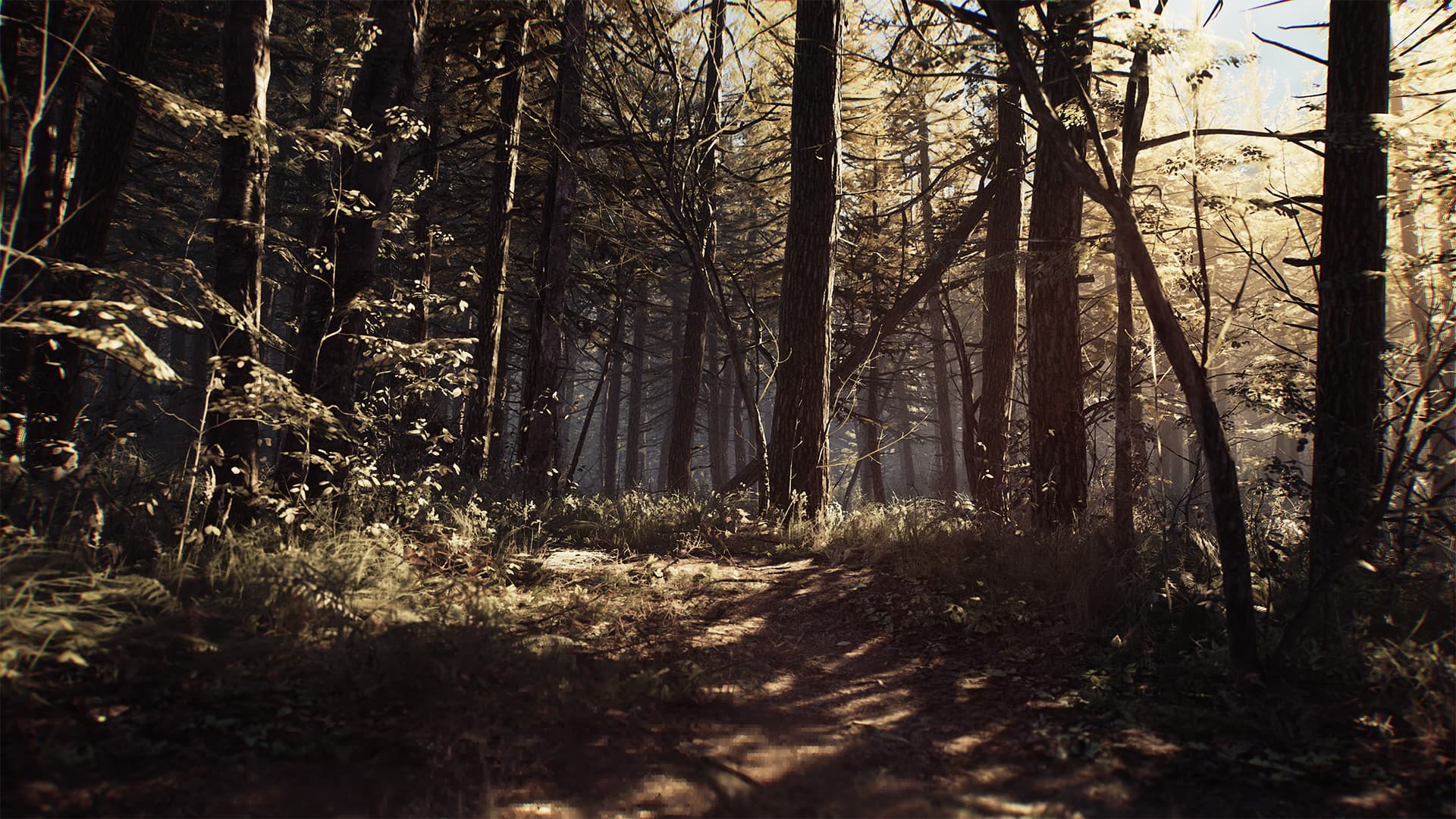 Blair Witch Steam Account - 4
