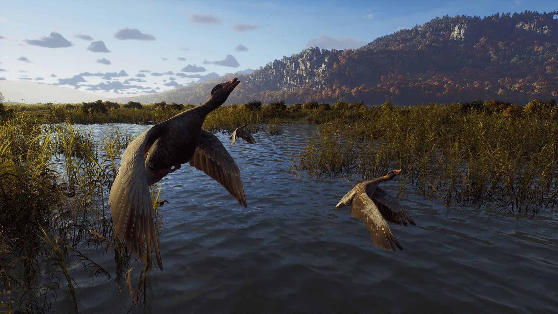 Way of the Hunter Steam Account - 6