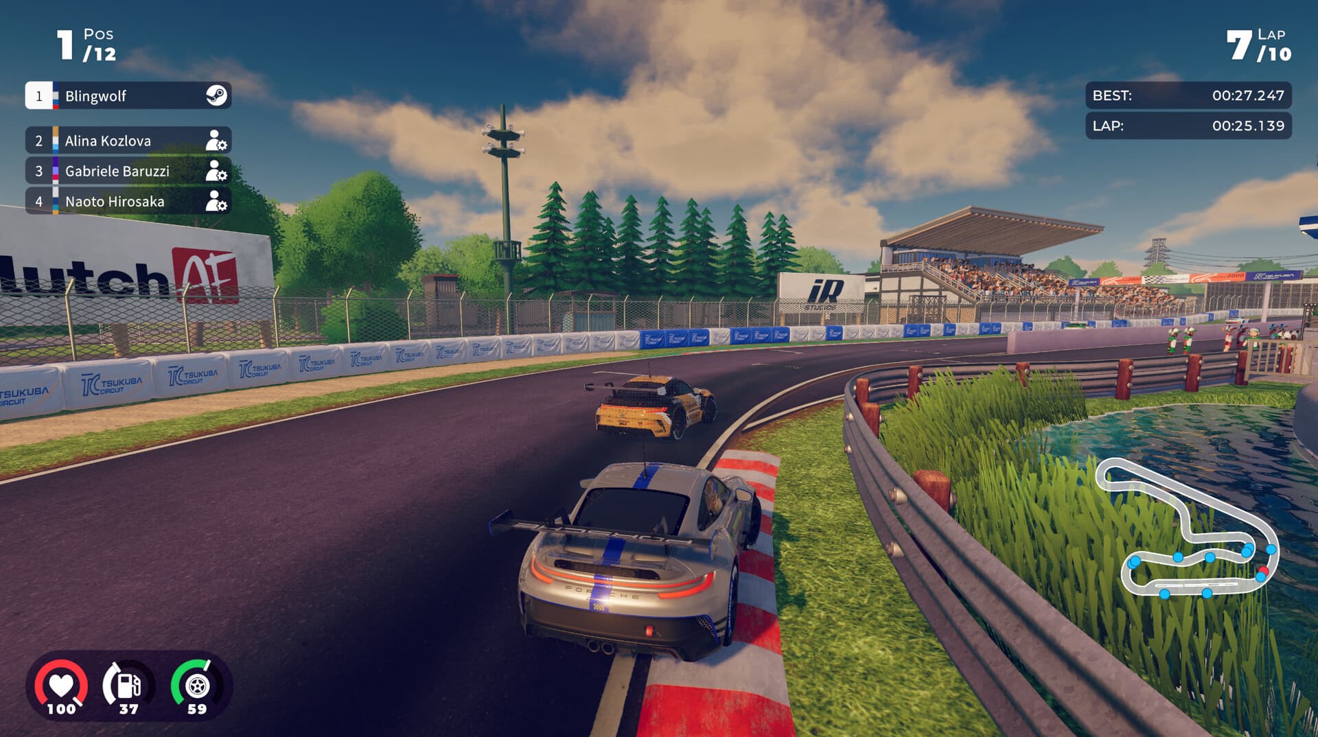 iRacing Arcade PC Steam Account - 3