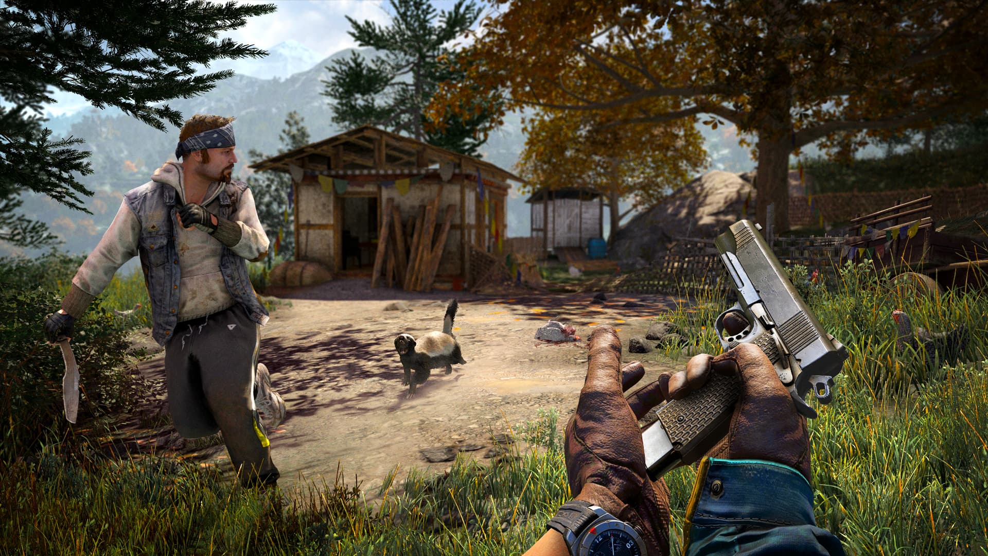 Far Cry 4 Steam Account - 2