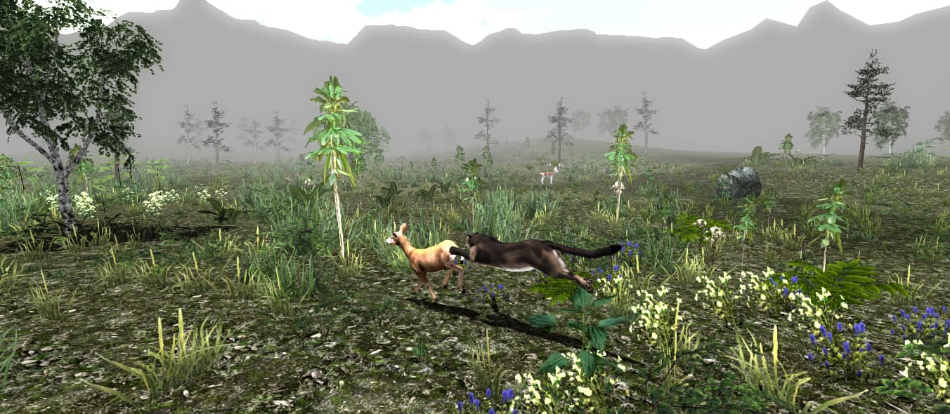 Untamed: Life of a Cougar Steam CD Key - 4