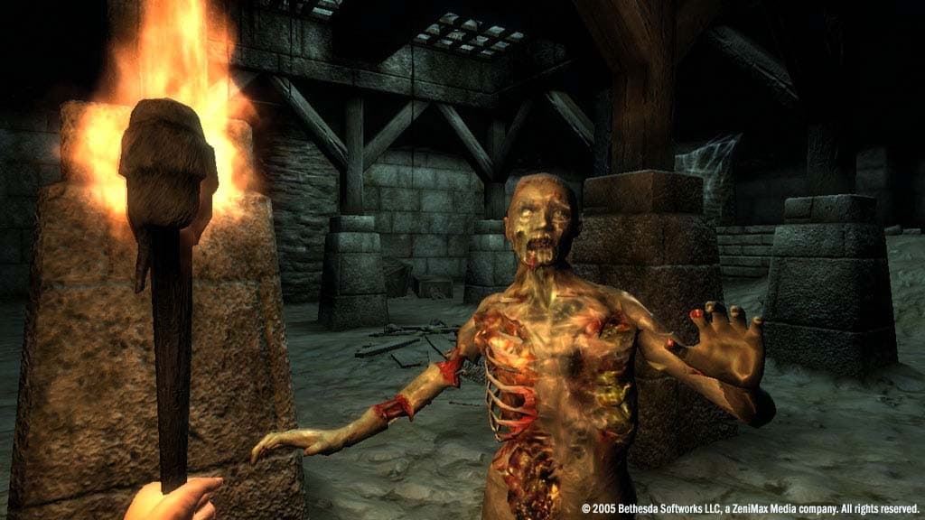The Elder Scrolls IV: Oblivion GOTY Edition Deluxe PC Steam CD Key - 6