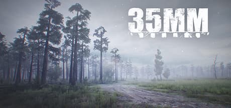 35MM PC Steam CD Key