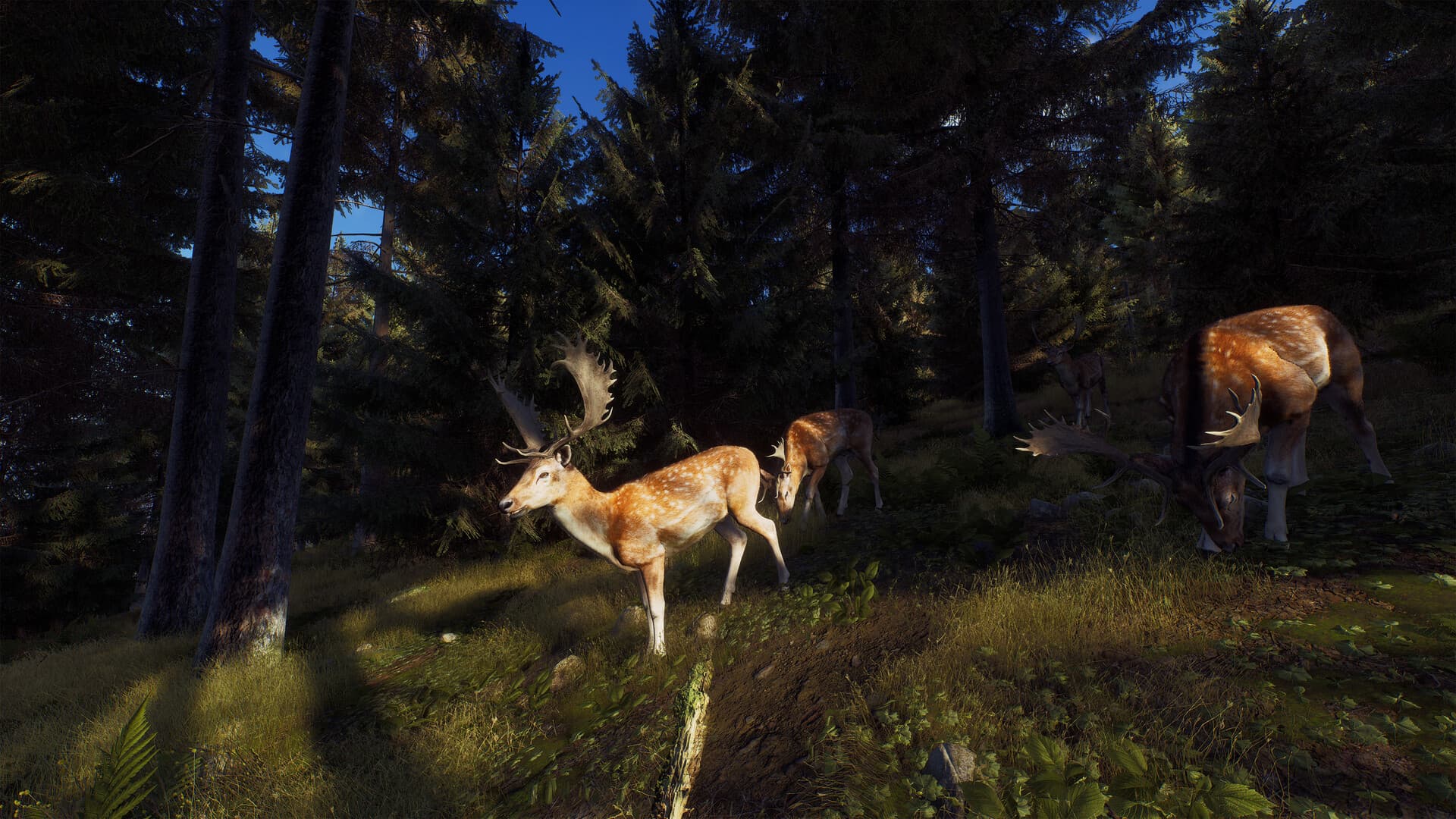 Way of the Hunter Steam Account - 2