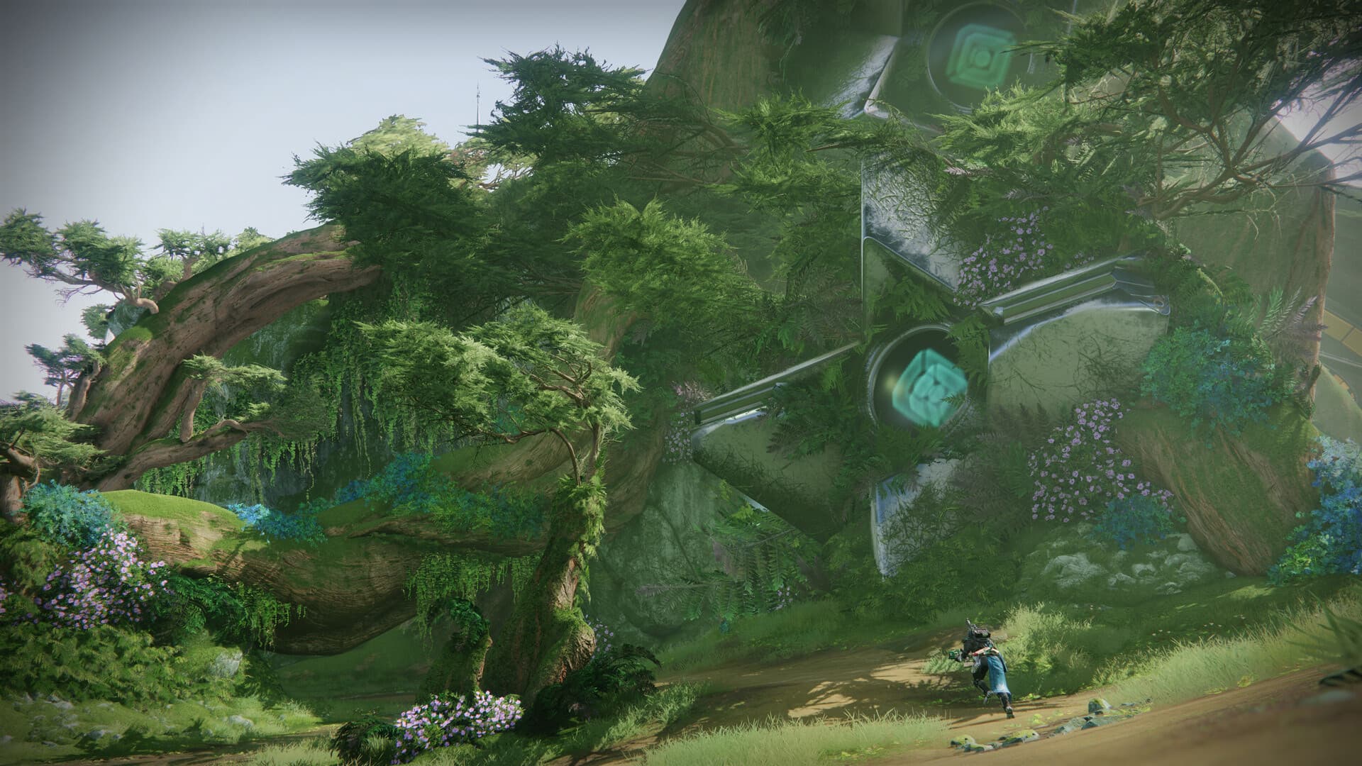 Destiny 2: The Final Shape + Annual Pass Steam Account - 8