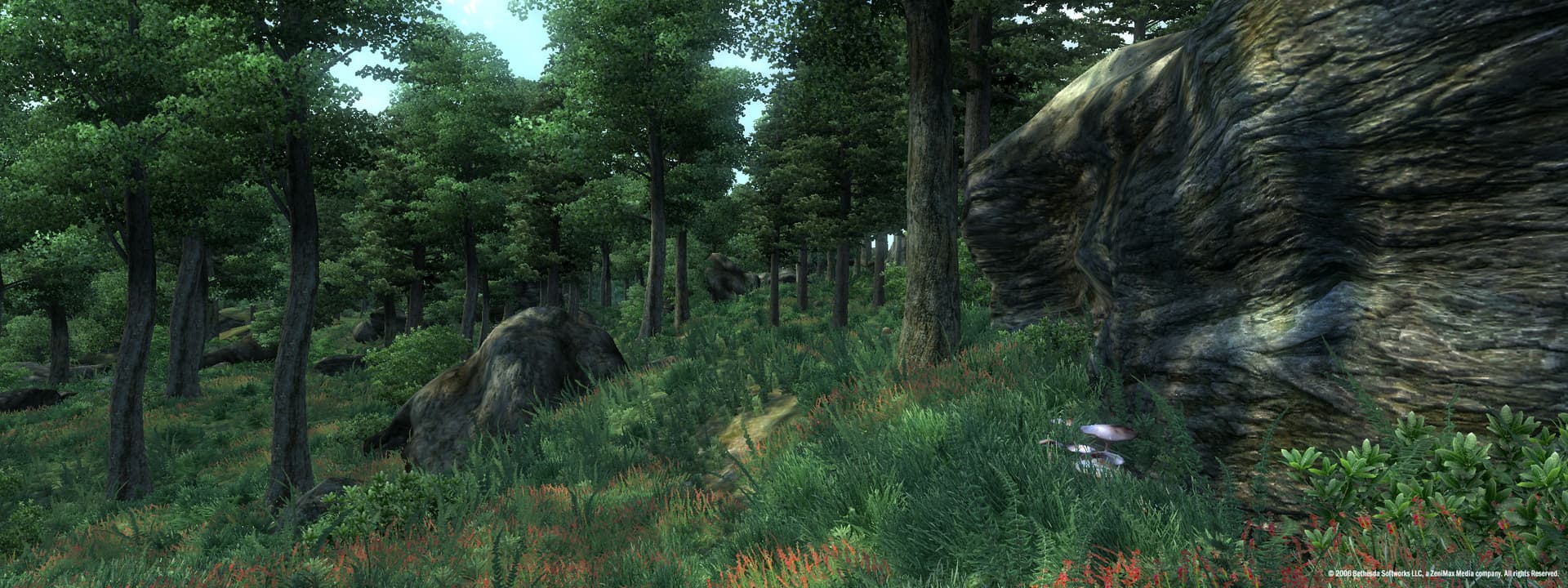 The Elder Scrolls IV: Oblivion GOTY Edition Deluxe PC Steam CD Key - 2