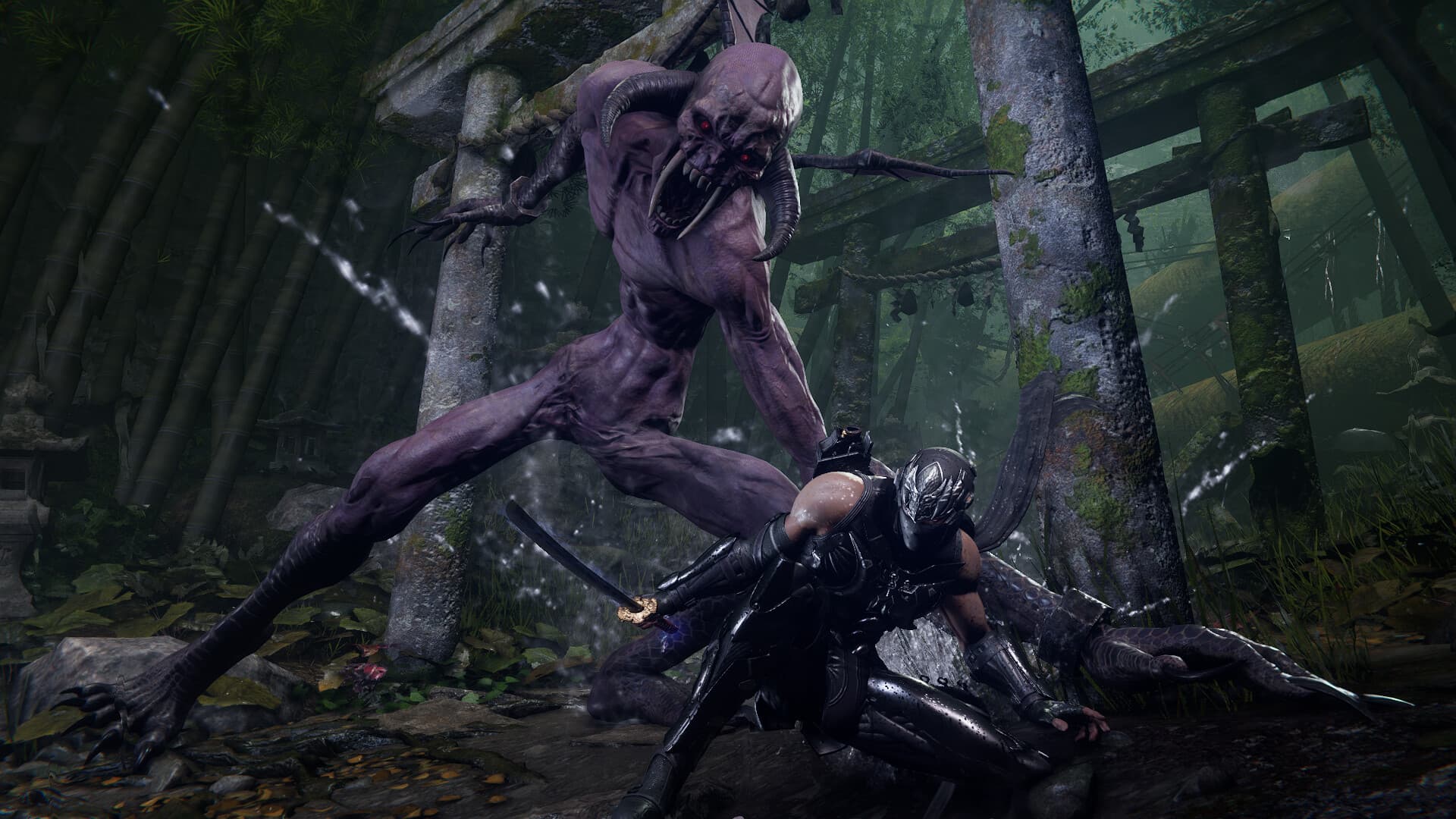 NINJA GAIDEN 4 PC Steam Account - 7