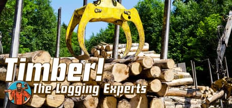 Timber! The Logging Experts Steam CD Key
