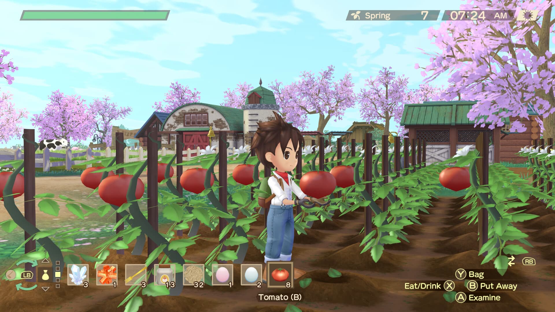 Story of Seasons: A Wonderful Life Steam Account - 7