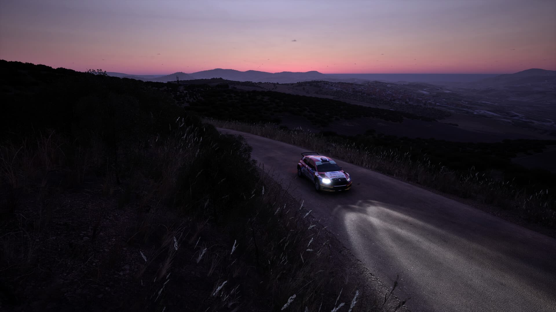 Assetto Corsa Rally PC Steam Account - 9