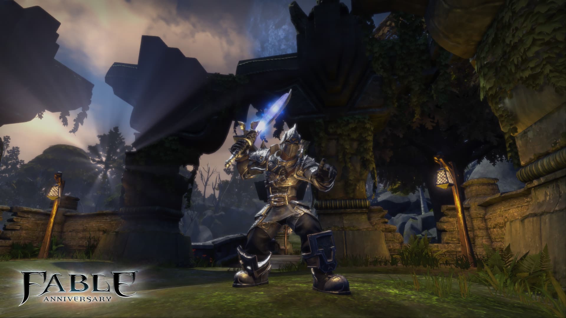 Fable Anniversary Steam Account - 3